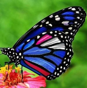 Meet your Posher, Christy